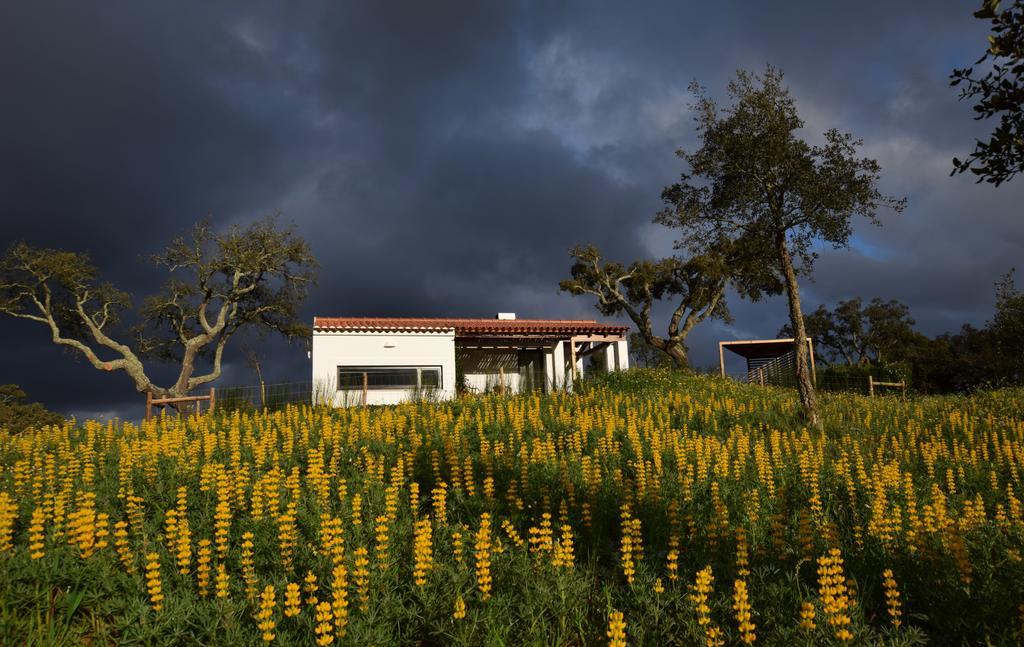 Sernadinha Aldeia do Cano ภายนอก รูปภาพ