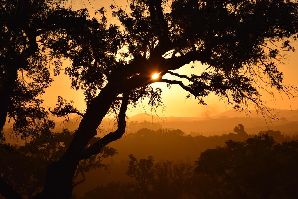 Sernadinha Aldeia do Cano ภายนอก รูปภาพ